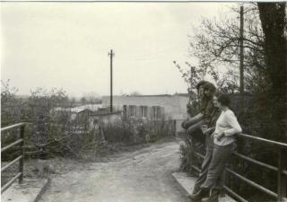 Obrázek